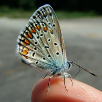 Learning to say yes to change